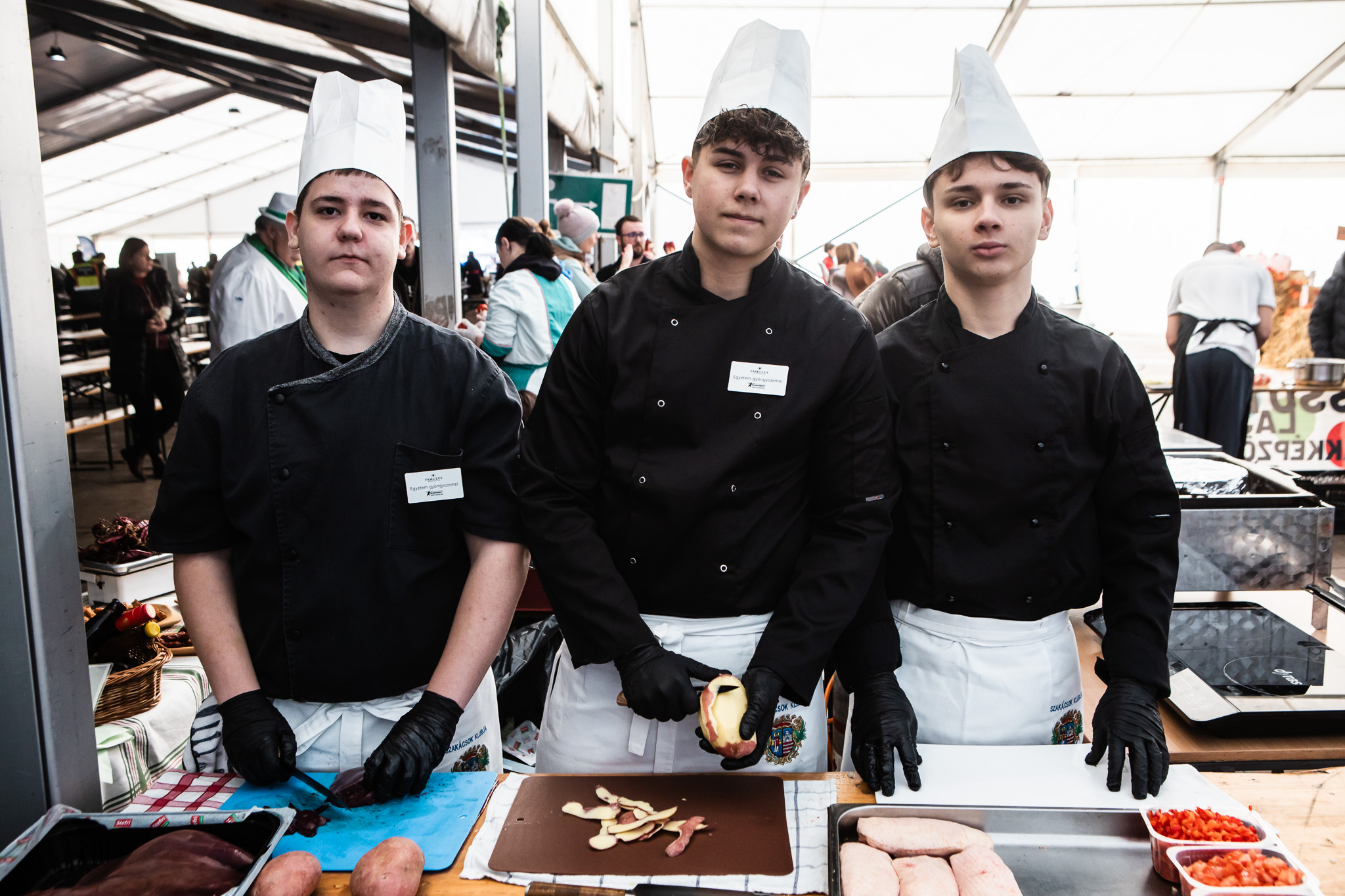 Egyetem Gyöngyszemei.jpg